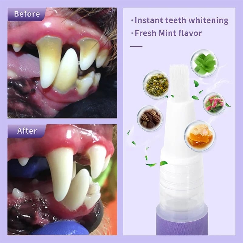 🌈 Pet Oral Repair Gel🔥BUY 1 GET 1 FREE TODAY🌈 Pet Oral Repair Gel